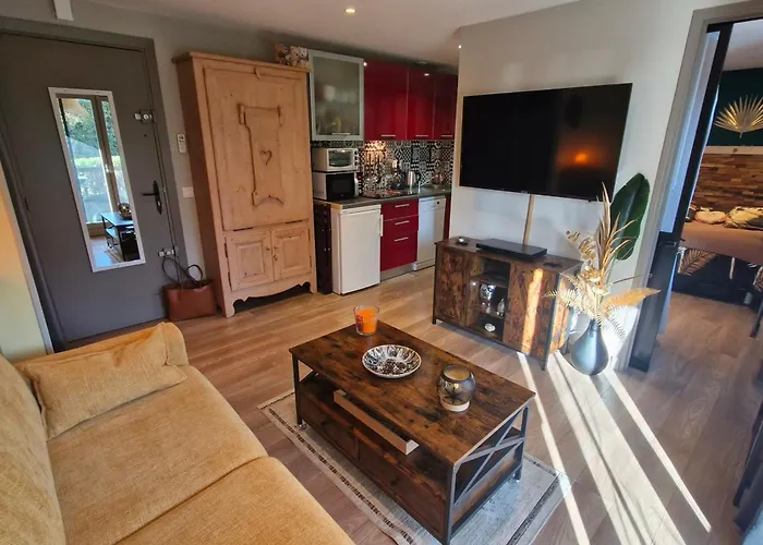 2 Pieces Climatise Avec Terrasse Et Parking A Ste Maxime - Fr-1-780-43 Lejlighed *