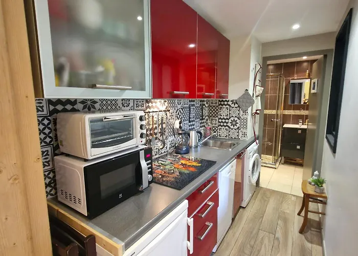 2 Pieces Climatise Avec Terrasse Et Parking A Ste Maxime - Fr-1-780-43 Lejlighed Sainte-Maxime