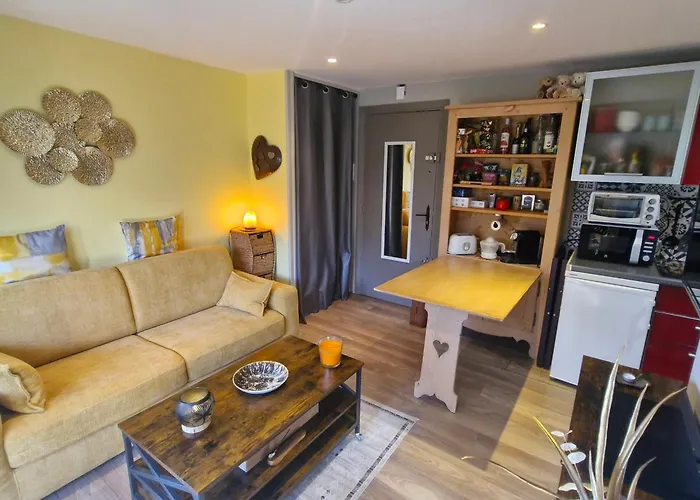 Апартаменти 2 Pieces Climatise Avec Terrasse Et Parking A Ste Maxime - Fr-1-780-43