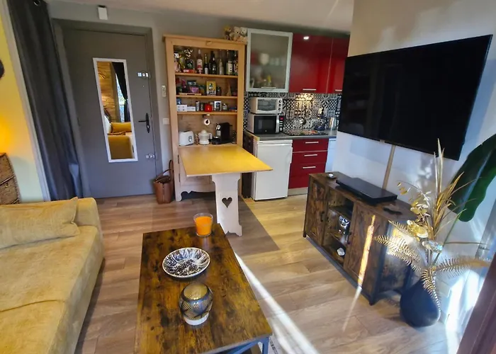 2 Pieces Climatise Avec Terrasse Et Parking A Ste Maxime - Fr-1-780-43 Sainte-Maxime