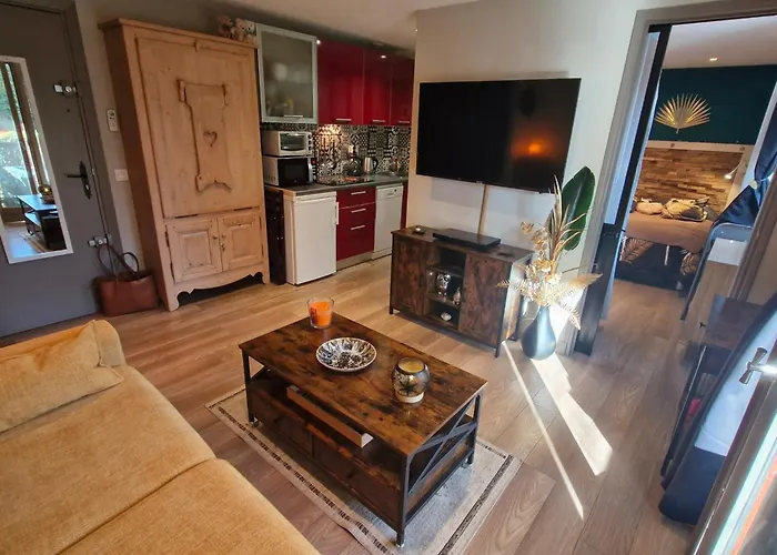 2 Pieces Climatise Avec Terrasse Et Parking A Ste Maxime - Fr-1-780-43 Sainte-Maxime