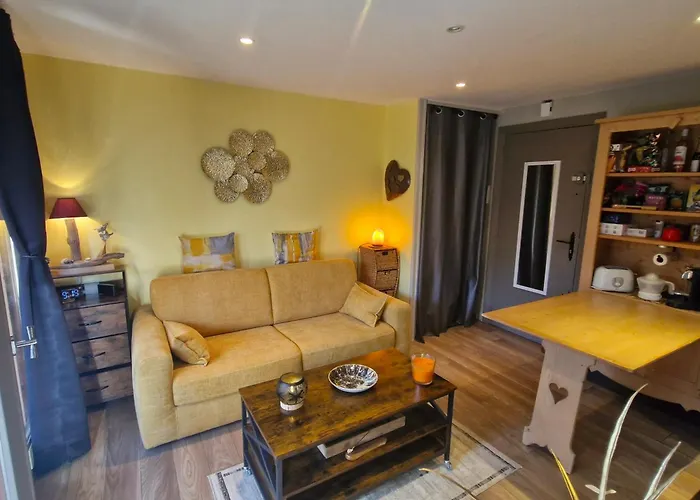 Lejlighed 2 Pieces Climatise Avec Terrasse Et Parking A Ste Maxime - Fr-1-780-43